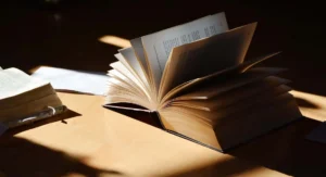 Industry Authority Book Writing in Australia