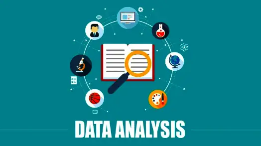 Statistical & Data Analysis Support